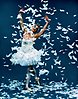 Den döende svanen. Foto Les Ballets Trocadero de Monte Carlo